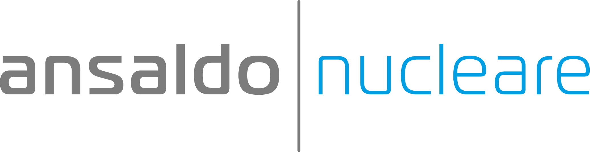 ANSALDO NUCLEARE S.p.A.